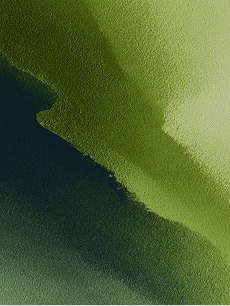 Design & Polishing